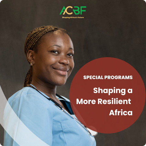 Shaping a More Resilient  Africa