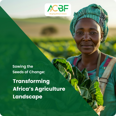 Transforming Africa’s Agriculture Landscape
