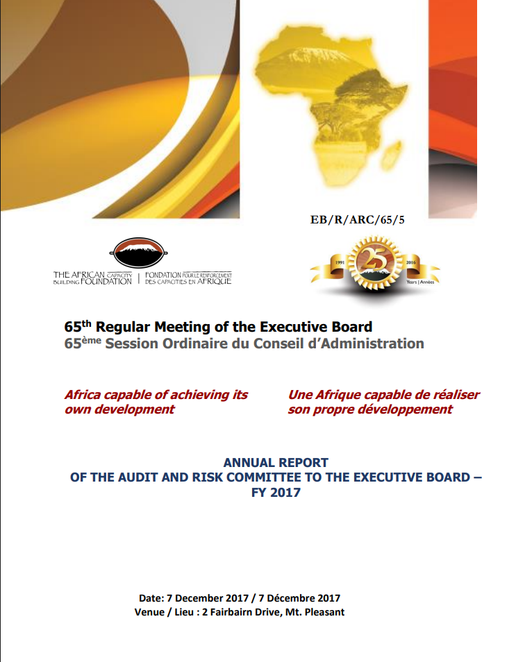 Audit and Risk Committee Annual Report 2017