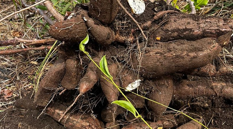 Adja Fatou Diop Ndiaye’s journey from a small to thriving business